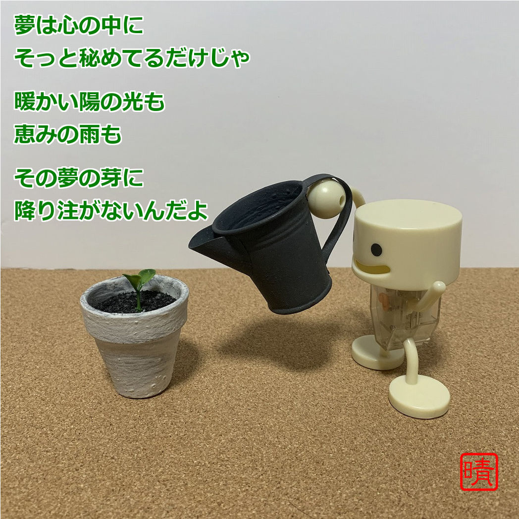 育夢