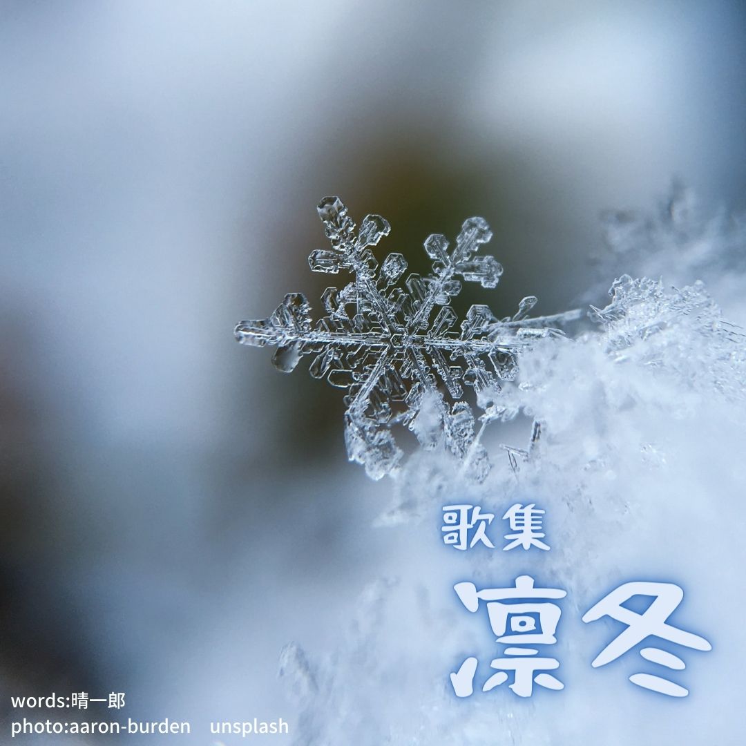 001凛冬 表紙