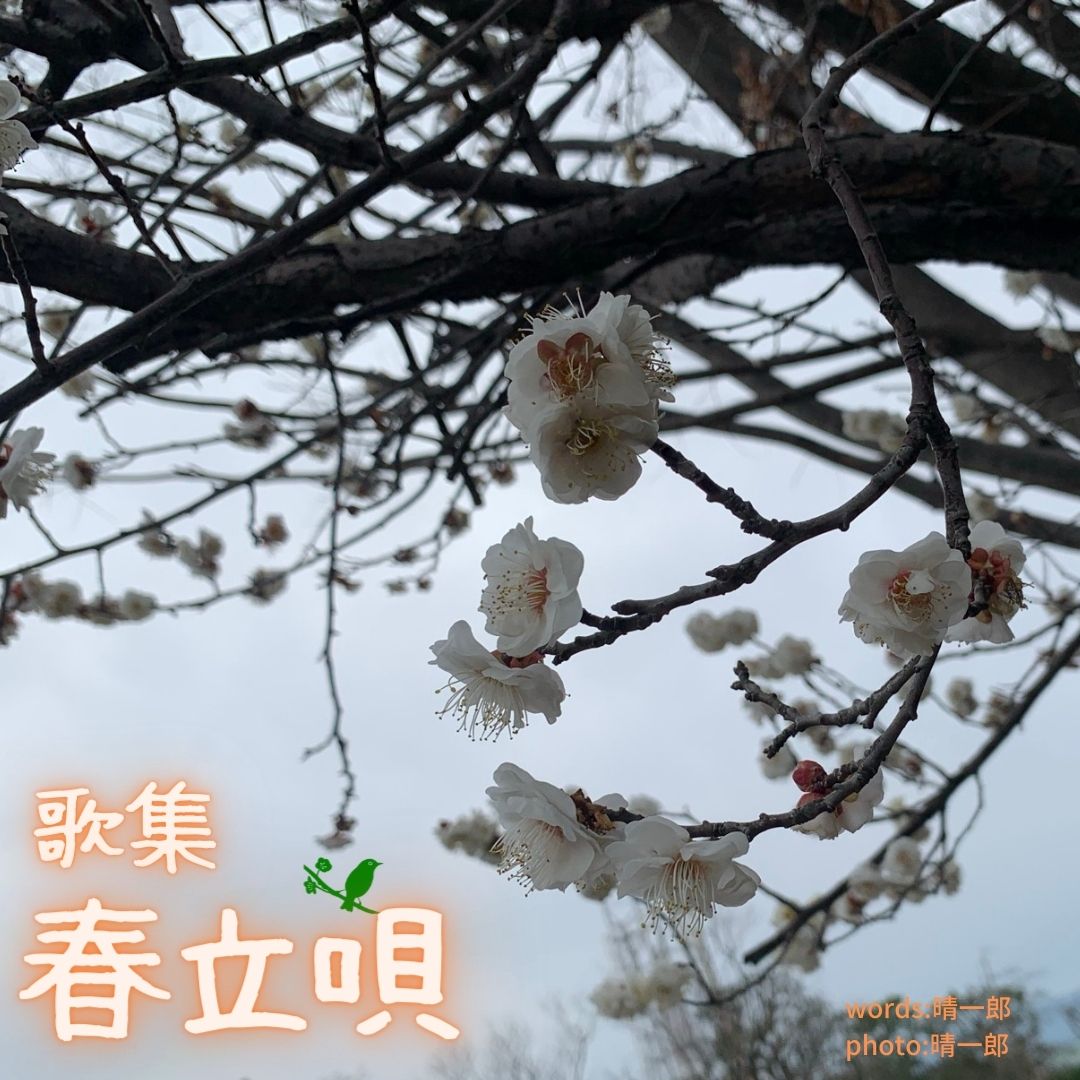 004春立唄 表紙
