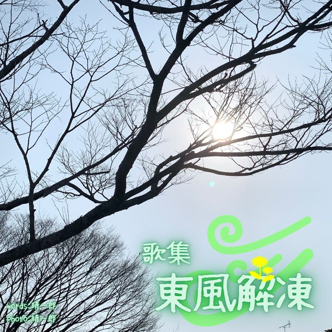 005東風解凍 表紙