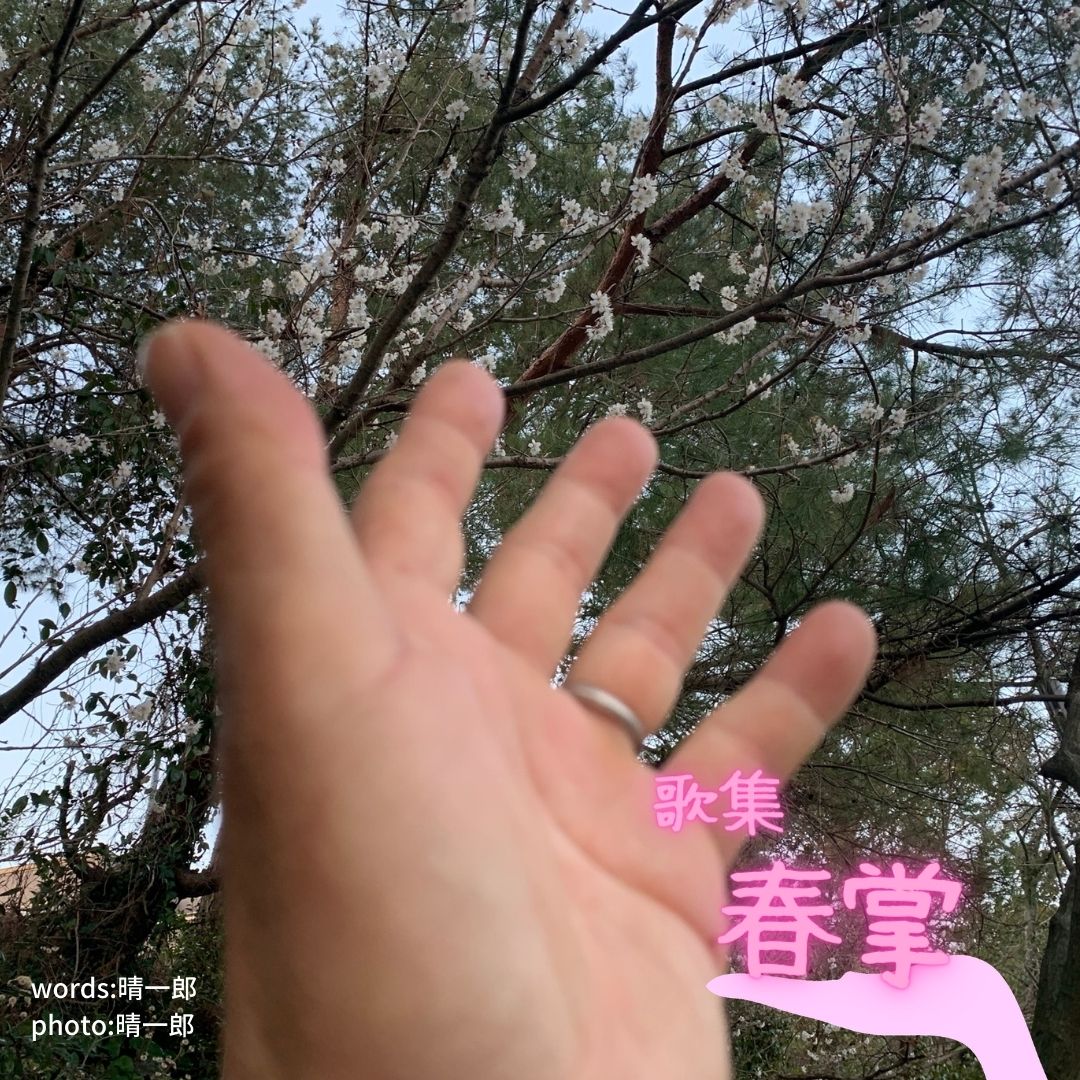 006春掌 表紙
