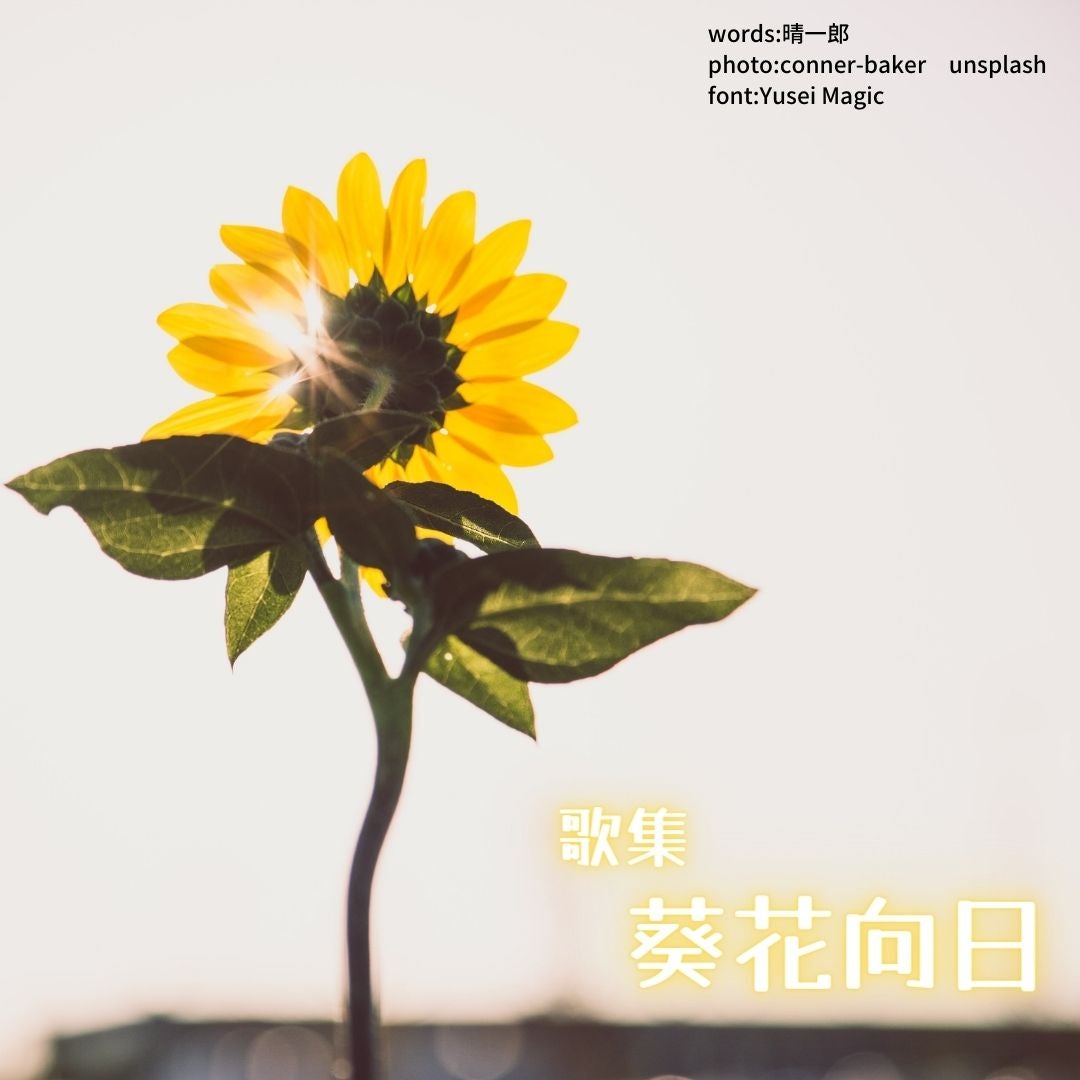 009葵花向日 表紙