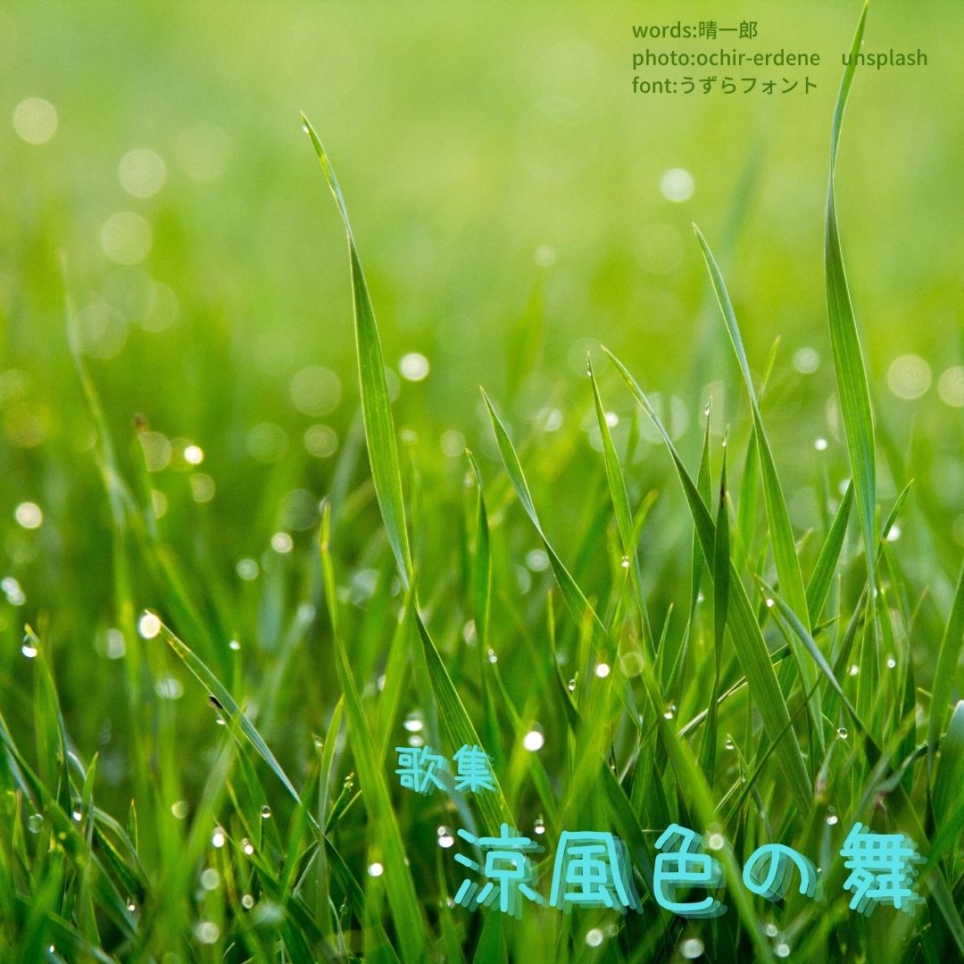 010涼風色の舞 表紙