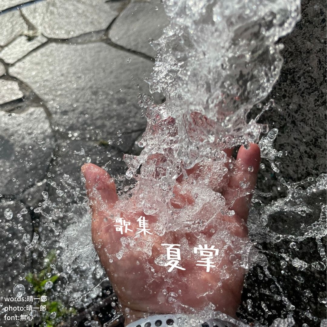 011夏掌 表紙