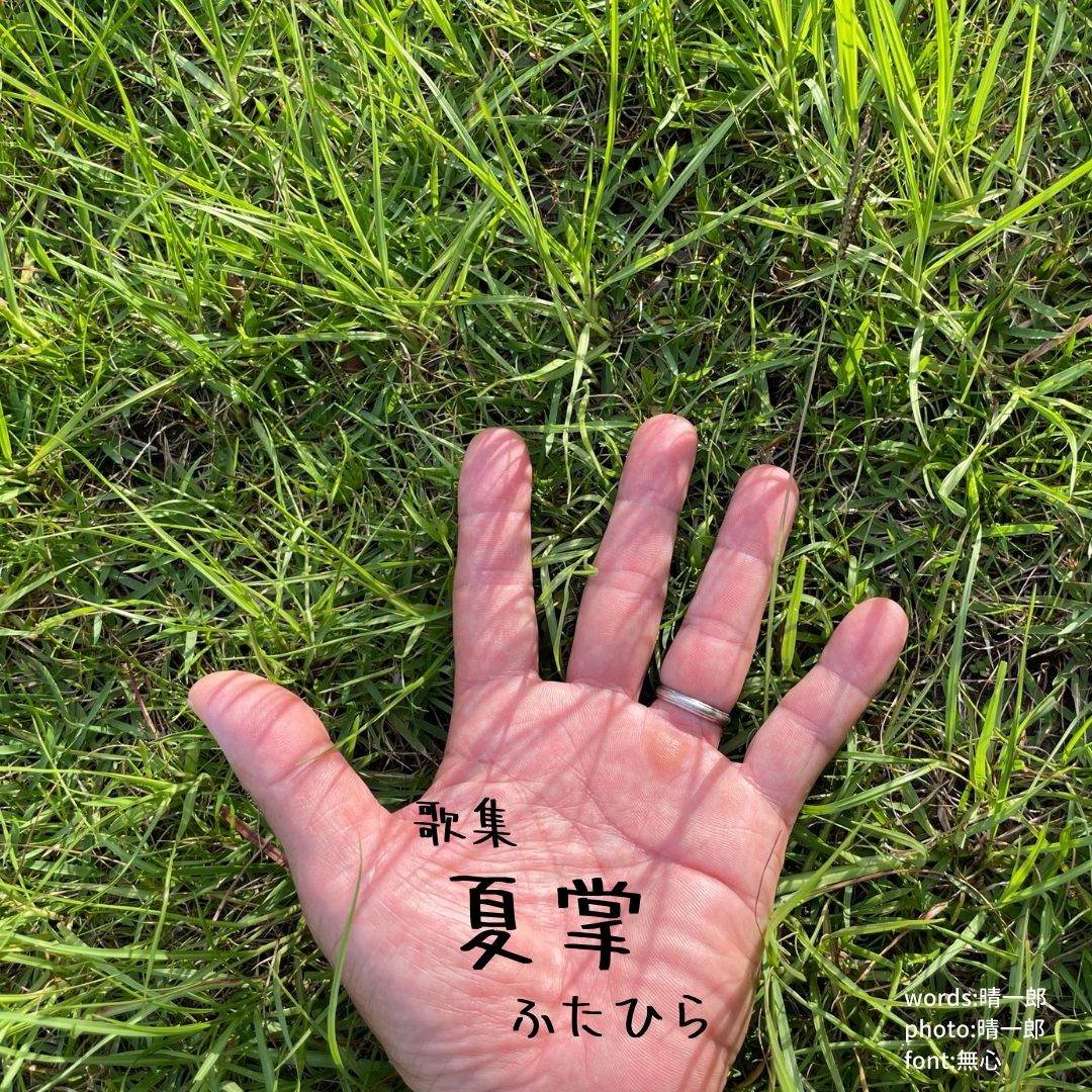 012夏掌ふたひら 表紙