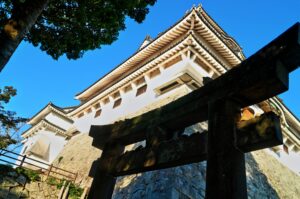 IMG_5810_1_2_バランサー