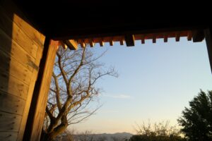 IMG_5904_5_6_写真風