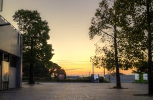 IMG_7260_1_2_スムーズ2