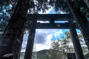 ONE20210914鳥居IMG_0714_5_6_最適化