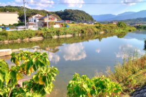 ONE20211011のどかな水鏡IMG_5666_7_8_強調