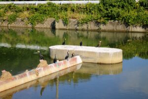 ONE20211030穏やかに流れる刻と水面IMG_5672_3_4_圧縮