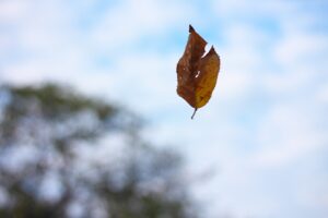 SHOT20211015憧れの空へIMG_6340
