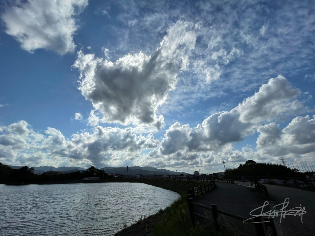 IMG_0563透き通る天使