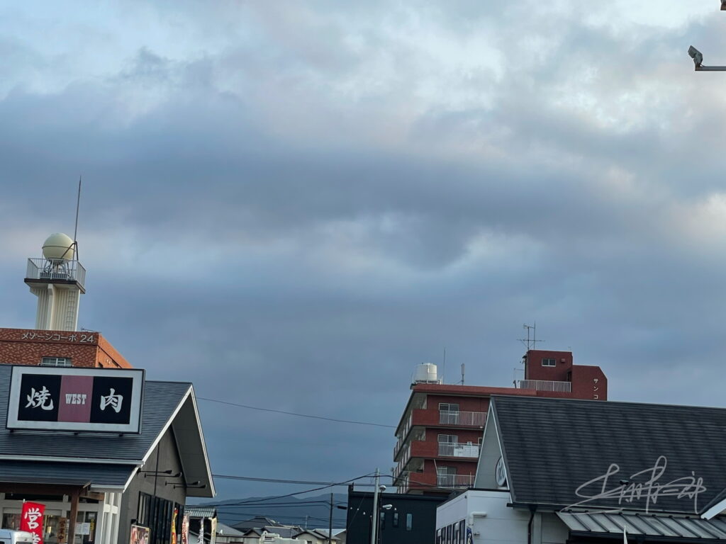 IMG_3378世界を見つめる優しき瞳