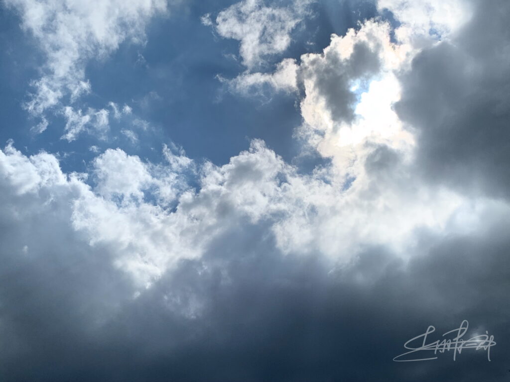 IMG_4388光る羽の天使