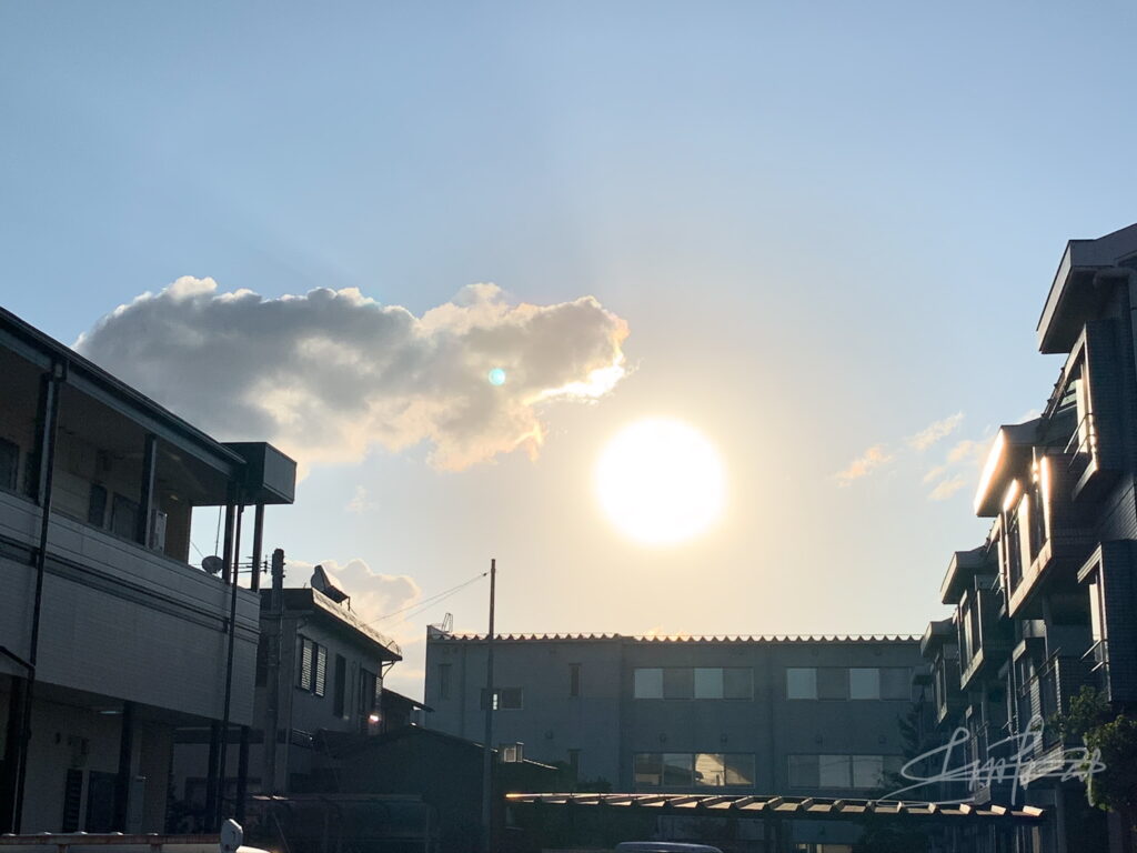 IMG_5769夕陽に吼える