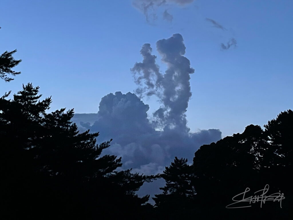 IMG_5867旅立ちの決意