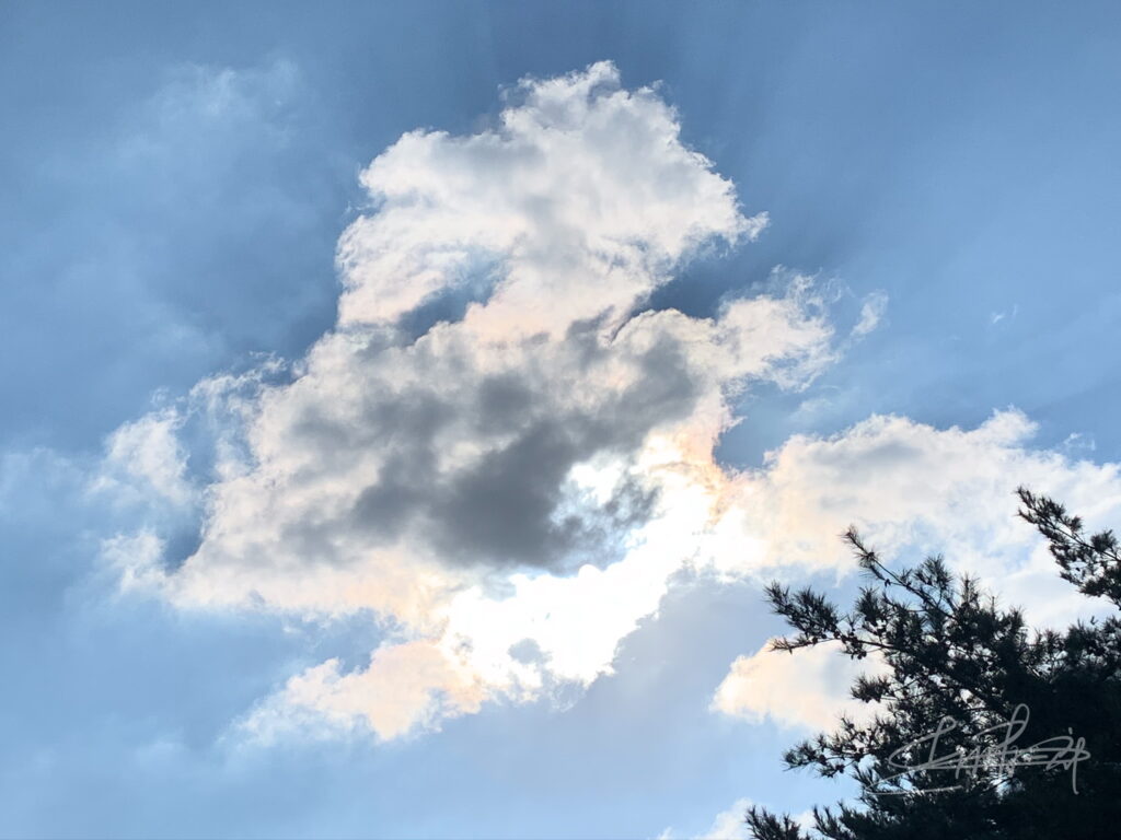 IMG_5983抱かれ光の天使へと