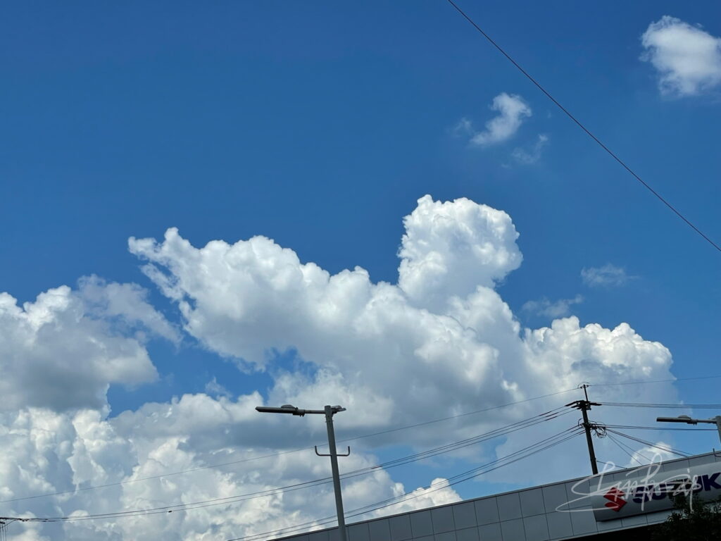 IMG_6130あの空に向かって