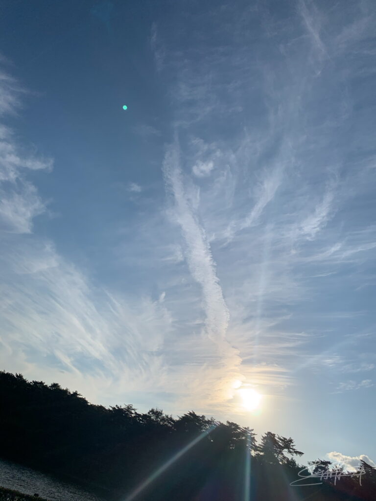 IMG_6140光の化身