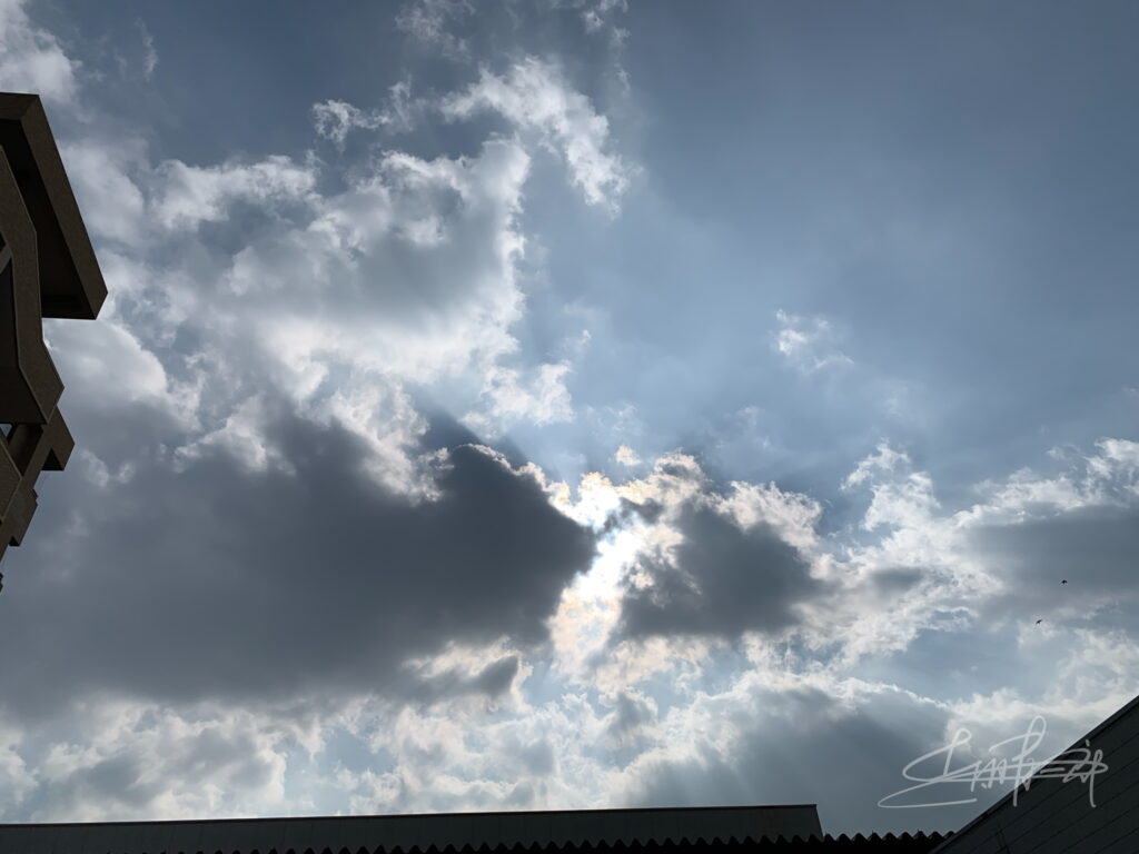 IMG_6945この手に光を