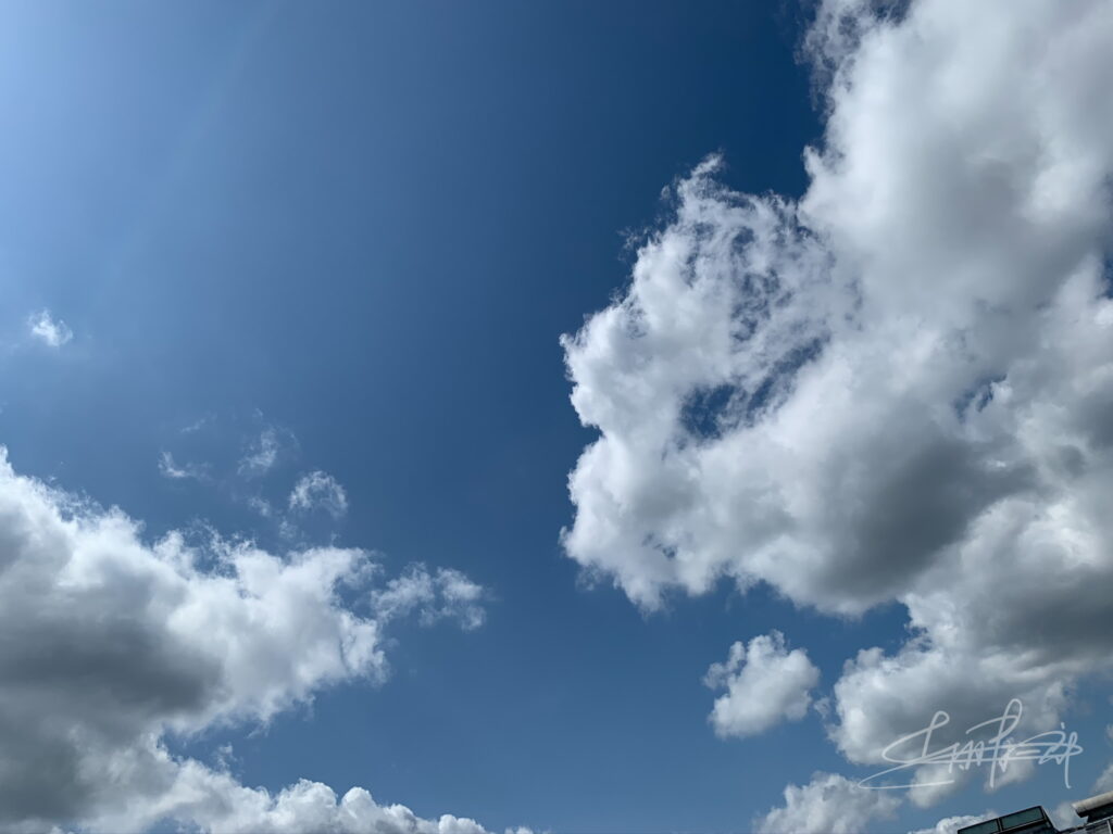 神雲 アルバムの表紙
