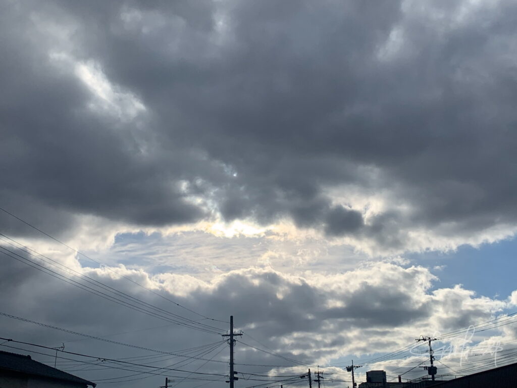 IMG_7315暗雲穿つ龍