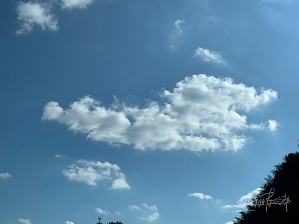 IMG_7392神馬