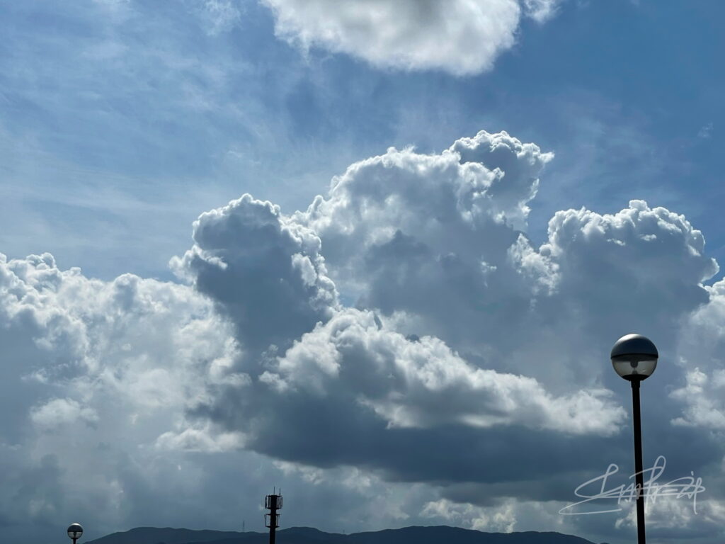 IMG_8067空に現れし恐竜