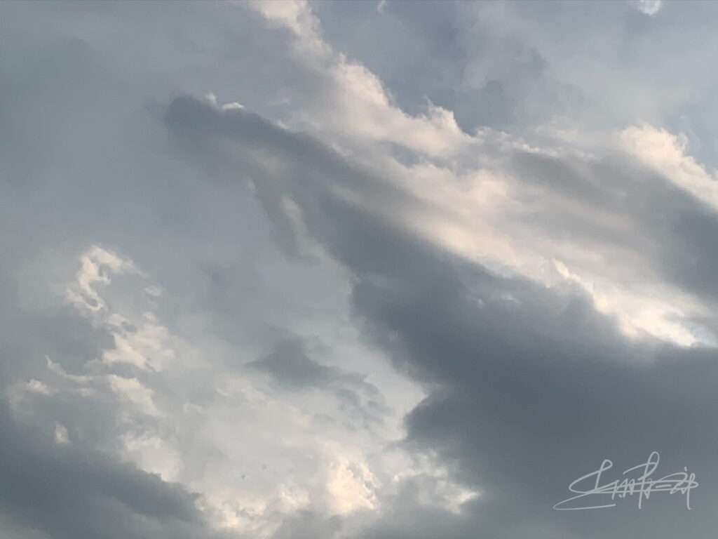 IMG_9871昇竜