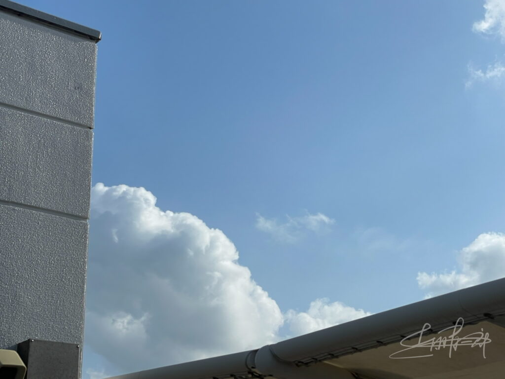 MFS18_03微笑む弁財天IMG_2329