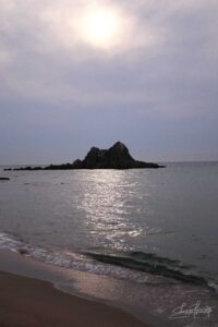 IMG_4401②