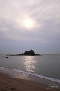 IMG_4402②